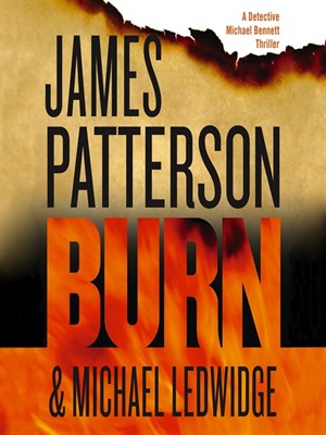 Cover of Burn